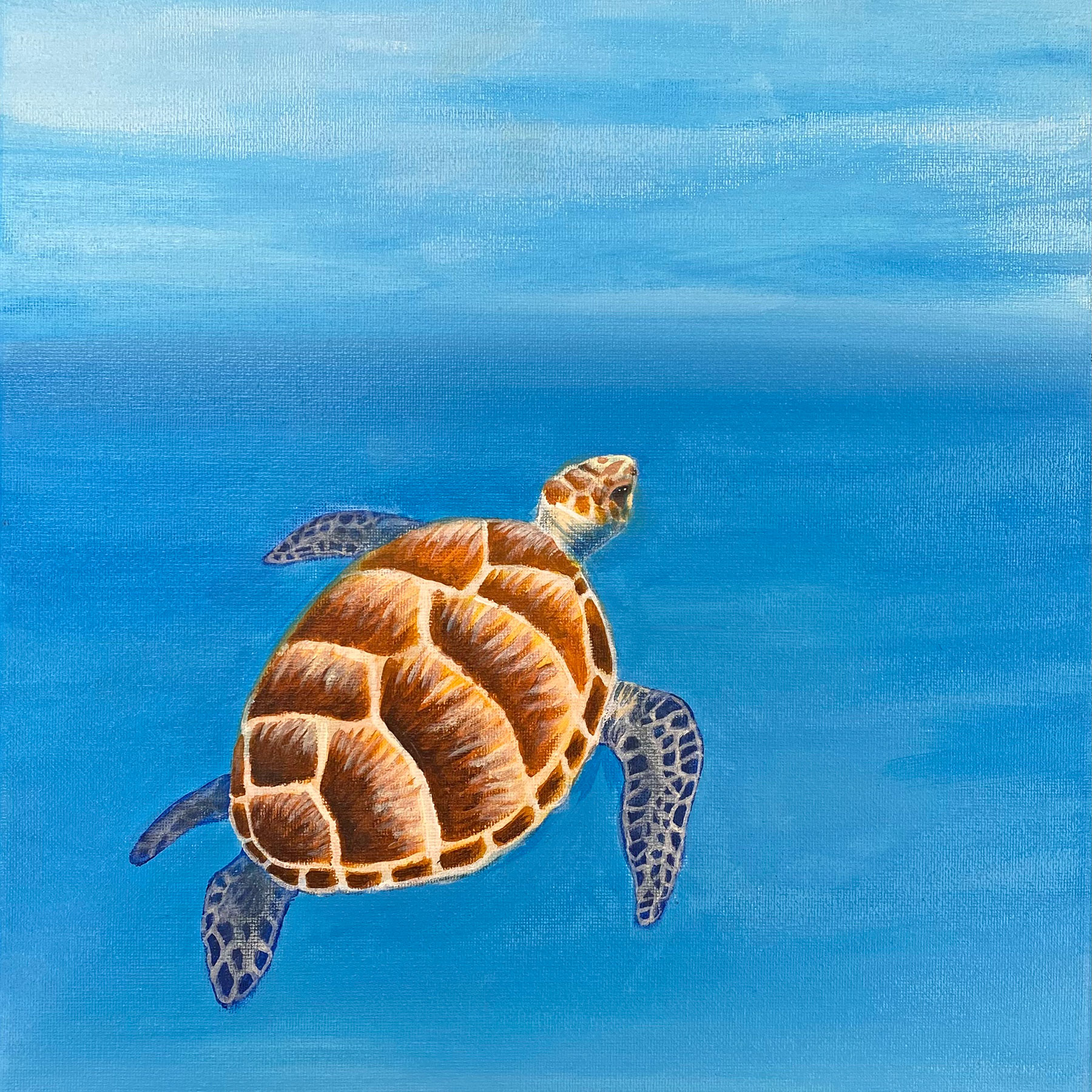 Acrylic Sea Turtle by Tif Farmakis-Day